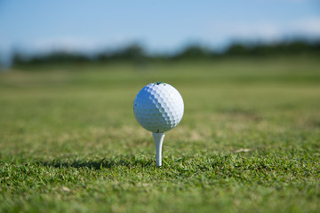 Beautiful green golf course with a golf ball in focus copy space mock up