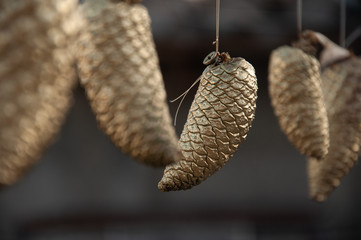 Praparing for Christmas