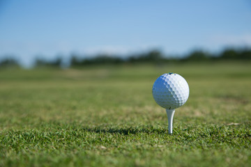 Beautiful green golf course with a golf ball in focus copy space mock up