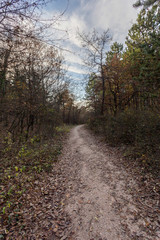 Hiking path in the Buda mountains