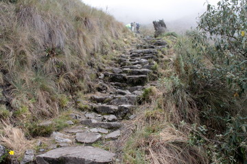 escaleras camino del inca