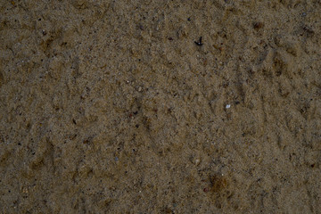 Abstract sand background. Sand background. Sand.
