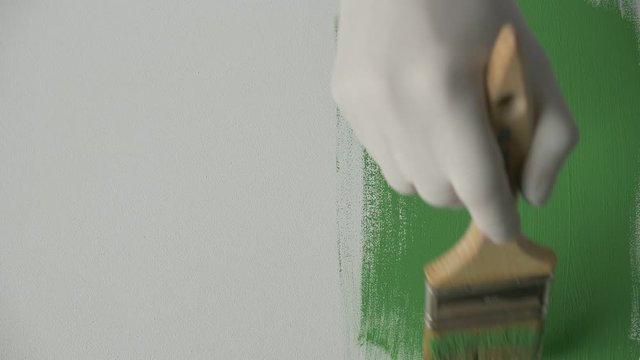 Green Wall Paint. Whole process of painting a white board in green with a paintbrush.