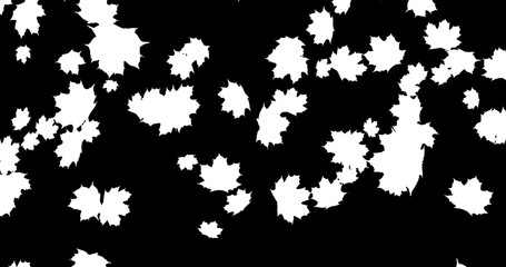 Falling Autumn leaves on black background for Thanksgiving Halloween party. 3D rendering