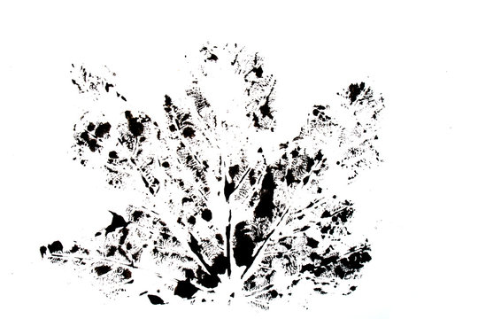 Abstract Black Paint Print of a Large Maple Leaf Ink Blot