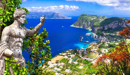 Foto op Canvas Italian summer holidays - beautiful Capri island, Campania, Italy © Freesurf