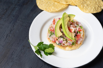 Mexican fish  ceviche with avocado on dark background
