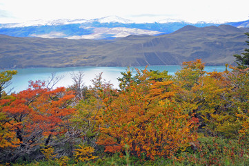 Lac de Patagonie