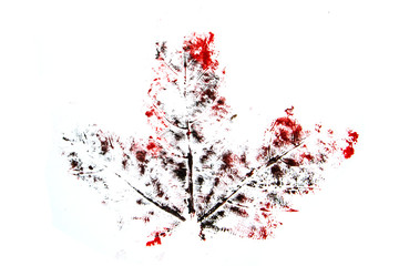 Red and Black Paint Ink Print of A Leaf Veins on White Background