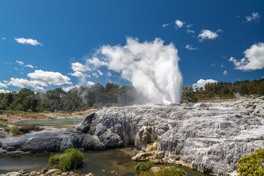 Geyser in Rotorua