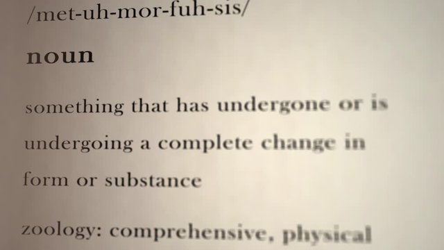 Metamorphosis Definition