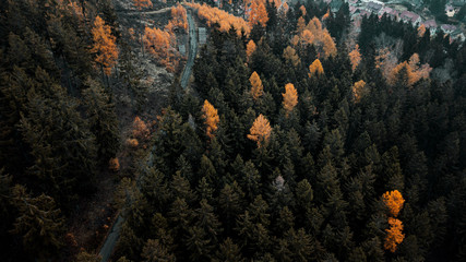 Fototapeta na wymiar Dark moody winter vibes with aerial drone view from above of a mountain forestwith heavy fog and mist clouds in the hills and tree silhouettes. Harz Mountains National Park in Germany