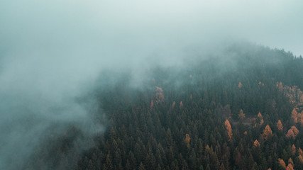 Moody dark and cold winter vibes with heavy fog in the nature mountains with autumn trees...