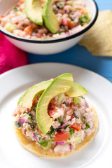 Mexican fish  ceviche with avocado on blue background