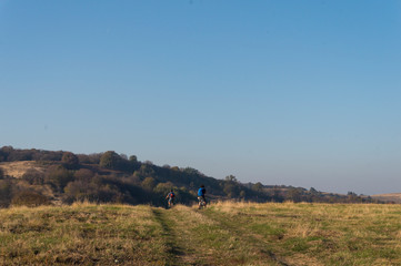 Obraz premium Golden fields in Carpathian Mountains. Mountains and barley cut fields in the horizon, golden hour photo-shoot. Golden fall panorama
