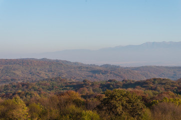 Golden fields in Carpathian Mountains. Mountains and barley cut fields in the horizon, golden hour photo-shoot. Golden fall panorama