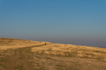 Golden fields in Carpathian Mountains. Mountains and barley cut fields in the horizon, golden hour photo-shoot. Golden fall panorama
