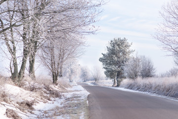 Obraz premium Rural road surronded by trees covered with frost, sunny winter morning, new day, sparkling frost and frozen branches