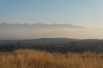 Golden fields in Carpathian Mountains. Mountains and barley cut fields in the horizon, golden hour photo-shoot. Golden fall panorama