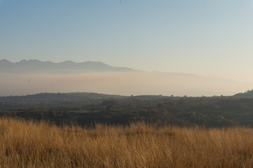 Golden fields in Carpathian Mountains. Mountains and barley cut fields in the horizon, golden hour photo-shoot. Golden fall panorama