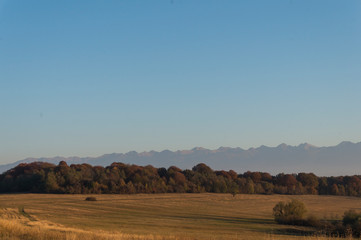 Obraz premium Golden fields in Carpathian Mountains. Mountains and barley cut fields in the horizon, golden hour photo-shoot. Golden fall panorama