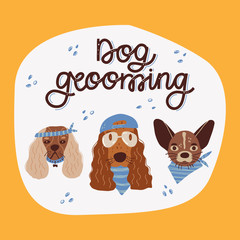 easter card with bunny and eggs