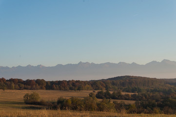 Golden fields in Carpathian Mountains. Mountains and barley cut fields in the horizon, golden hour photo-shoot. Golden fall panorama