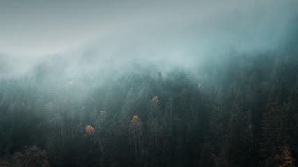 Moody dark and cold winter vibes with heavy fog in the nature mountains with autumn trees silhouettes.