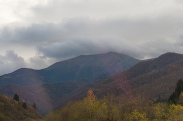 Colourful trees in the forest and mountains, autumn landscape