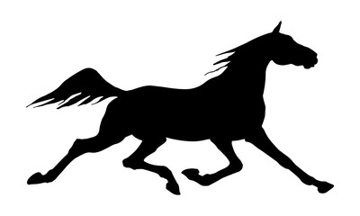 Fototapeta na wymiar black silhouette of a running horse, isolated on white background, running on a racetrack
