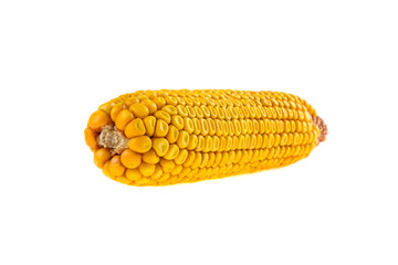 dry corn on a white background isolated