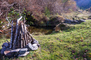 Colourful trees in the forest and mountains, autumn landscape
