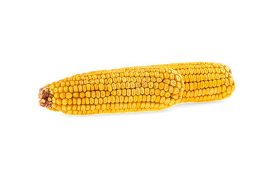 dry corn on a white background isolated