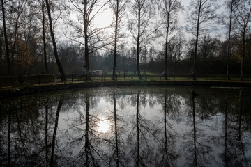 Lichtpunkte in der Natur