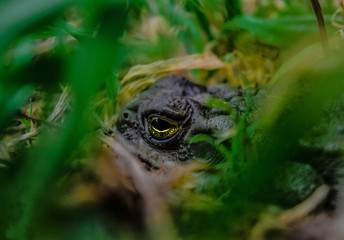 You are looking at me?