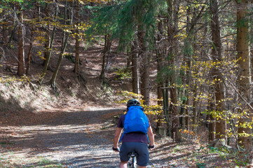 Mountain biker riding bike in the forest on dirt road. Mountain biker rides in autumn forest. Cycle trail in autumn forest. Mountain biking in autumn landscape forest