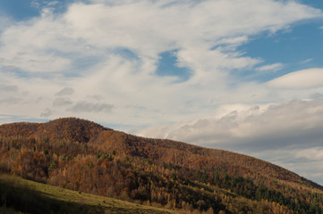 Multi colored trees and autumn sun shining in the blue sky. Golden autumn scene in a forest, with falling leaves, the sun shining through the trees and blue sky