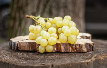 Ripe green grapes on an old tree stump. Shallow depth of field.