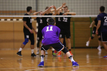 back view of a man volleyball player