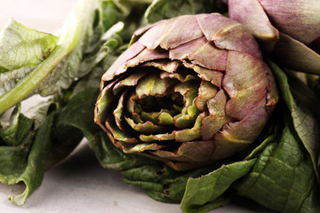 Fototapeta premium artichokes on grey background. fresh raw organic artichoke flower.