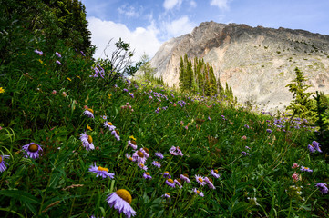 Summer in the Rocky Mountains