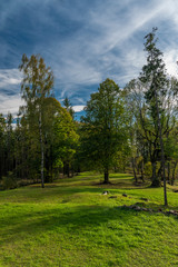Fototapeta na wymiar In color forest near old ruin of church near Besiny village in south Bohemia