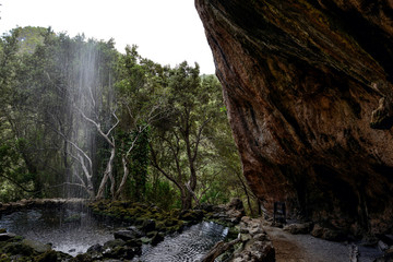 waterfall in the forest, mallorca, island, spain