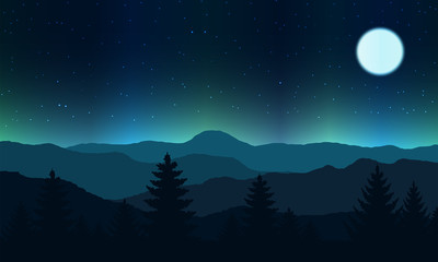 Night view landscape. Full moon light at mountain and forest.