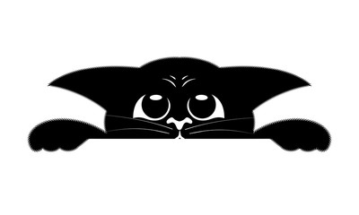 playful kitten hiding and peeping .