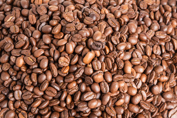 Roasted Coffee Beans