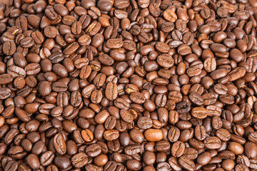 Roasted Coffee Beans