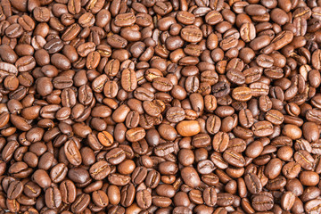 Roasted Coffee Beans