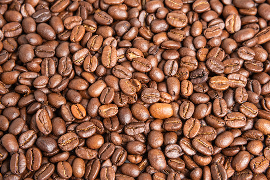 Roasted Coffee Beans © Dominique James