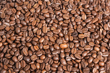 Roasted Coffee Beans